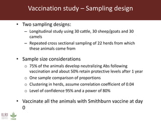 Towards the development of optimal vaccination strategies for Rift Valley fever in East Africa