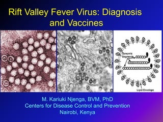 Rift Valley Fever Virus: Diagnosis
           and Vaccines




          M. Kariuki Njenga, BVM, PhD
    Centers for Disease Control and Prevention
                  Nairobi, Kenya
 