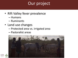 Rift Valley fever virus seroprevalence among ruminants and humans in northeast Kenya
