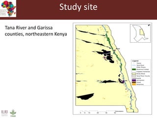 Rift Valley fever virus seroprevalence among ruminants and humans in northeast Kenya
