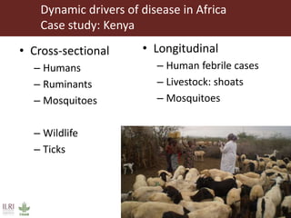 Rift Valley fever virus seroprevalence among ruminants and humans in northeast Kenya