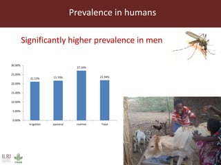 Rift Valley fever virus seroprevalence among ruminants and humans in northeast Kenya