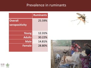 Rift Valley fever virus seroprevalence among ruminants and humans in northeast Kenya