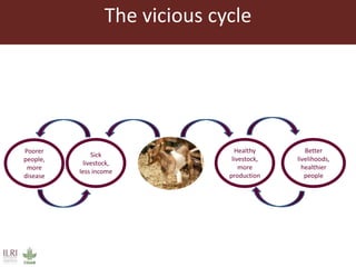 Rift Valley fever virus seroprevalence among ruminants and humans in northeast Kenya
