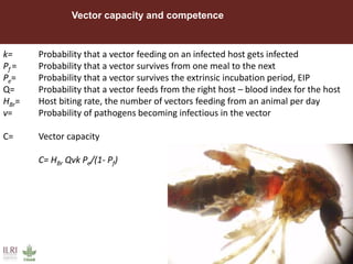 Rift Valley fever virus seroprevalence among ruminants and humans in northeast Kenya