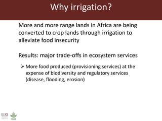 Rift Valley fever virus seroprevalence among ruminants and humans in northeast Kenya