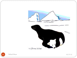 05/27/15Shehzad Akram55
 