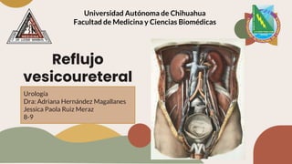 Reflujo
vesicoureteral
Urología
Dra: Adriana Hernández Magallanes
Jessica Paola Ruiz Meraz
8-9
Universidad Autónoma de Chihuahua
Facultad de Medicina y Ciencias Biomédicas
 