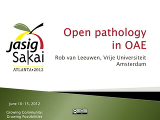 Rob van Leeuwen, Vrije Universiteit
                                               Amsterdam




 June 10-15, 2012

Growing Community;
Growing Possibilities
 