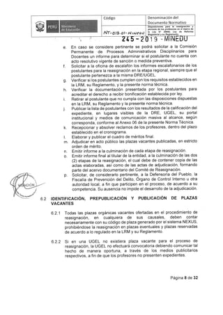 Rvm n-245-2019-minedu (2)