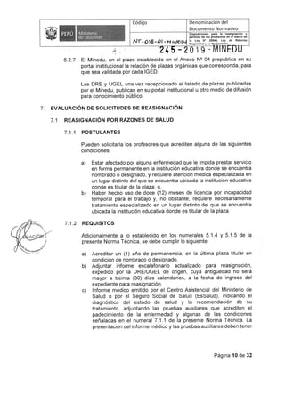 Rvm n-245-2019-minedu (2)