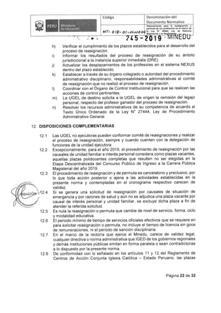 Rvm n-245-2019-minedu (2)