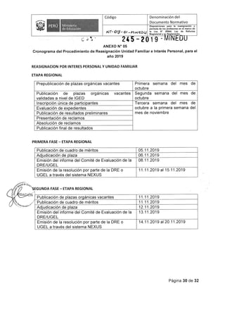 Rvm n-245-2019-minedu (2)