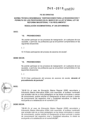 Rvm n-245-2019-minedu (2)