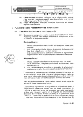 Rvm n-245-2019-minedu (2)