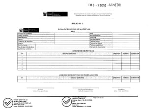 RVM N° 188-2020-MINEDU (erratas)_compressed.pdf