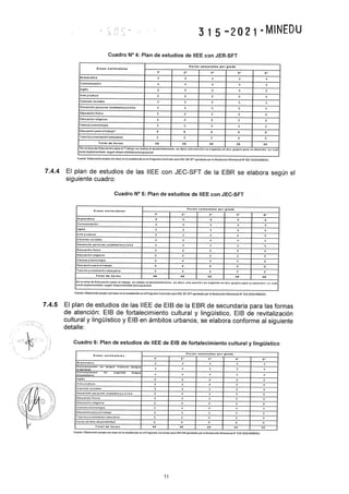 Rvm n° 315 2021-minedu.pdf.pdf (4)