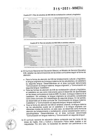 Rvm n° 315 2021-minedu.pdf.pdf (4)