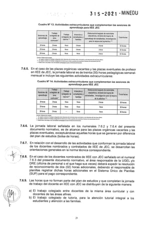 Rvm n° 315 2021-minedu.pdf.pdf (4)