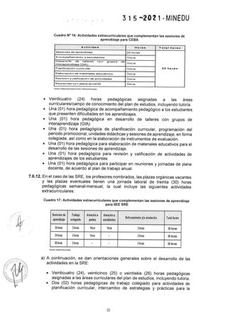 Rvm n° 315 2021-minedu.pdf.pdf (4)