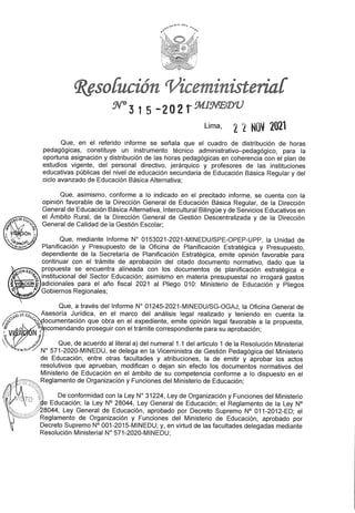 Rvm n° 315 2021-minedu.pdf.pdf (4)