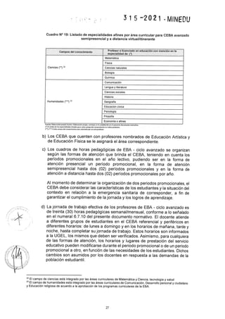 Rvm n° 315 2021-minedu.pdf.pdf (4)