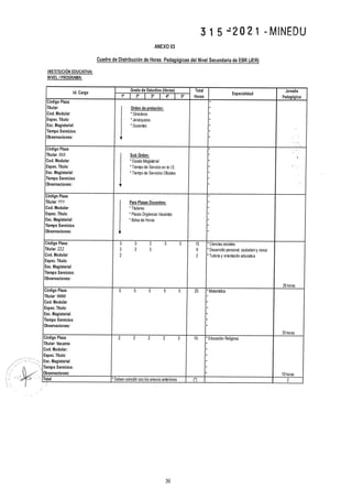 Rvm n° 315 2021-minedu.pdf.pdf (4)