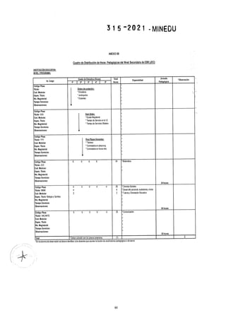 Rvm n° 315 2021-minedu.pdf.pdf (4)