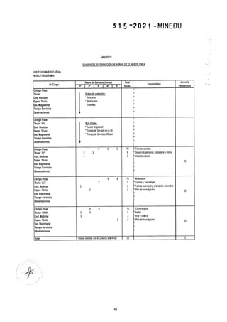 Rvm n° 315 2021-minedu.pdf.pdf (4)