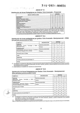 Rvm n° 315 2021-minedu.pdf.pdf (4)
