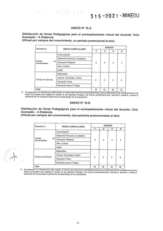 Rvm n° 315 2021-minedu.pdf.pdf (4)