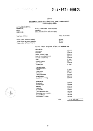 Rvm n° 315 2021-minedu.pdf.pdf (4)