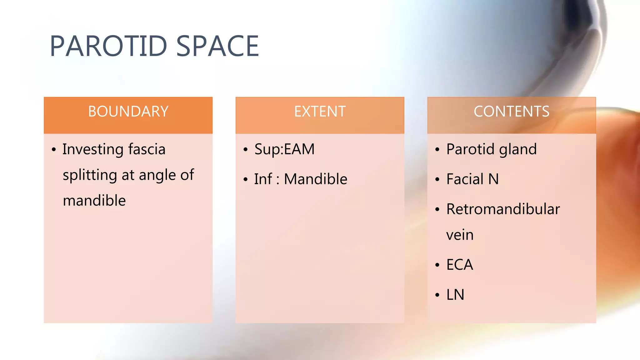 BOUNDARY
• Investing fascia
splitting at angle of
mandible
EXTENT
• Sup:EAM
• Inf : Mandible
CONTENTS
• Parotid gland
• Facial N
• Retromandibular
vein
• ECA
• LN
PAROTID SPACE
 