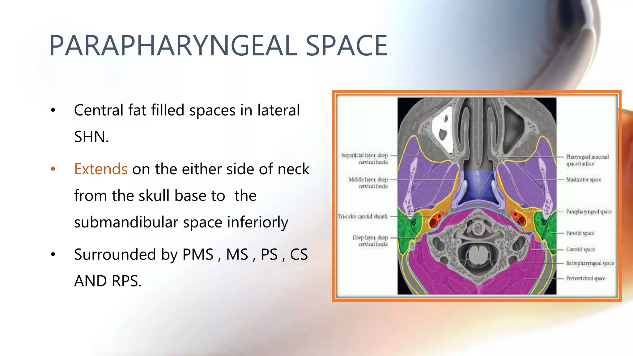 PARAPHARYNGEAL SPACE
• Central fat filled spaces in lateral
SHN.
• Extends on the either side of neck
from the skull base to the
submandibular space inferiorly
• Surrounded by PMS , MS , PS , CS
AND RPS.
 