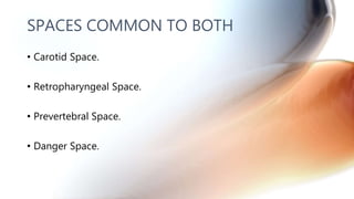 SPACES COMMON TO BOTH
• Carotid Space.
• Retropharyngeal Space.
• Prevertebral Space.
• Danger Space.
 
