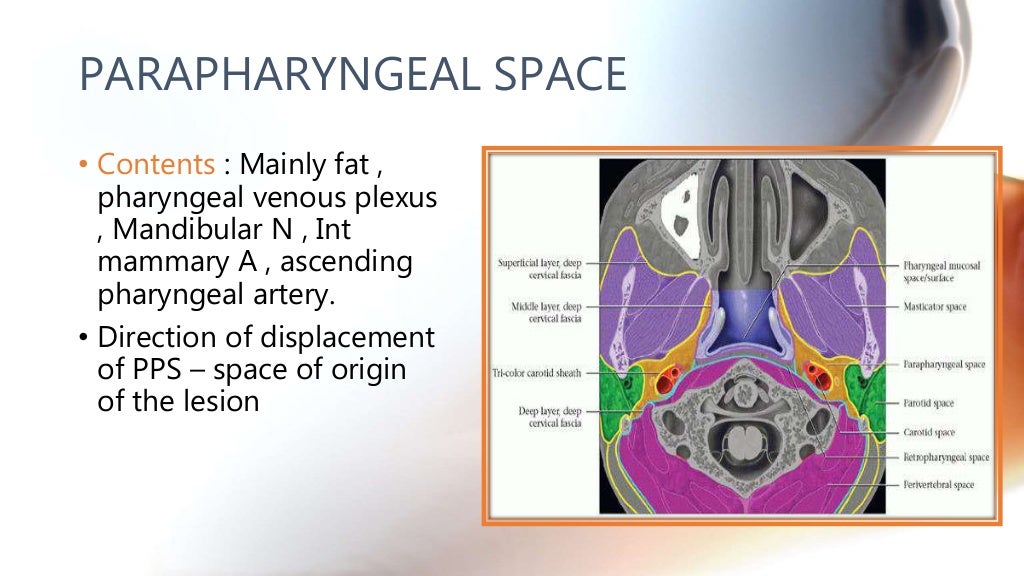 CT anatomy of Neck Spaces RV