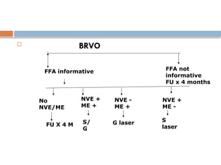  BRVO
FFA informative FFA not
informative
FU x 4 months
No
NVE/ME
NVE +
ME +
NVE -
ME +
NVE +
ME -
FU X 4 M S/
G
G laser S
laser
 