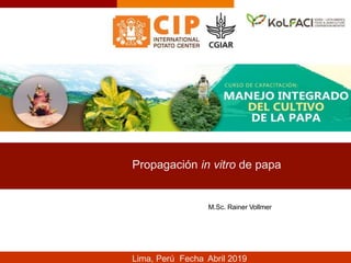 M.Sc. Rainer Vollmer
Propagación in vitro de papa
Lima, Perú Fecha Abril 2019
 