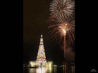 Árvore De Natal Na Lagoa 2007