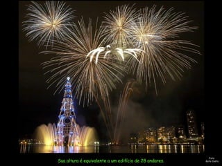 Árvore De Natal Na Lagoa 2007