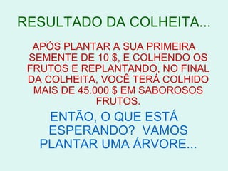 RESULTADO DA COLHEITA...
  APÓS PLANTAR A SUA PRIMEIRA
 SEMENTE DE 10 $, E COLHENDO OS
 FRUTOS E REPLANTANDO, NO FINAL
 DA COLHEITA, VOCÊ TERÁ COLHIDO
  MAIS DE 45.000 $ EM SABOROSOS
              FRUTOS.
    ENTÃO, O QUE ESTÁ
    ESPERANDO? VAMOS
   PLANTAR UMA ÁRVORE...
 