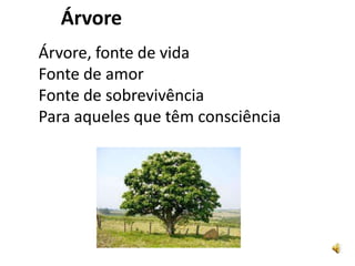 Árvore
Árvore, fonte de vida
Fonte de amor
Fonte de sobrevivência
Para aqueles que têm consciência
 