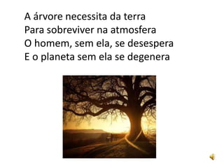 A árvore necessita da terra
Para sobreviver na atmosfera
O homem, sem ela, se desespera
E o planeta sem ela se degenera
 