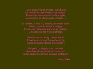 “Olha estas velhas árvores, mais belas
  Do que as árvores novas, mais amigas:
  Tanto mais belas quanto mais antigas,
  Vencedoras da idade e das procelas…

O homem, a fera, e o insecto, à sombra delas
     Vivem, livres de fomes e fadigas;
 E em seus galhos abrigam-se as cantigas
     E os amores das aves tagarelas.

    Não choremos, amigo, a mocidade!
    Envelheçamos rindo! envelheçamos
    Como as árvores fortes envelhecem:

    Na glória da alegria e da bondade,
   Agasalhando os pássaros nos ramos,
Dando sombra e consolo aos que padecem!”

                                 Olavo Bilac
 