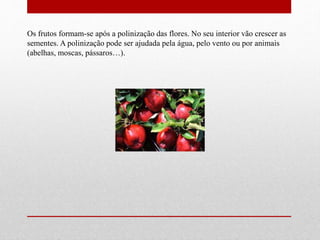 Os frutos formam-se após a polinização das flores. No seu interior vão crescer as 
sementes. A polinização pode ser ajudada pela água, pelo vento ou por animais 
(abelhas, moscas, pássaros…). 
 