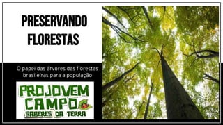 O papel das árvores das florestas
brasileiras para a população
Preservando
Florestas
 