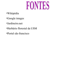 FONTES Wikipédia Google images Jardineiro.net Herbário florestal da USM Portal são francisco 