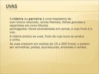 A videira ou parreira é uma trepadeira da
com tronco retorcido, ramos flexíveis, folhas grandes e
repartidas em cinco lóbulos
pontiagudos, flores esverdeadas em ramos, e cujo fruto é a
uva.
A videira produz as uvas, fruto de cujo suco se produz
o vinho.
As uvas crescem em cachos de 15 a 300 frutos, e podem
ser vermelhas, pretas, azul-escuras, amarelas e verdes.
 