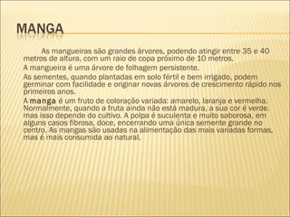 As mangueiras são grandes árvores, podendo atingir entre 35 e 40
metros de altura, com um raio de copa próximo de 10 metros.
A mangueira é uma árvore de folhagem persistente.
As sementes, quando plantadas em solo fértil e bem irrigado, podem
germinar com facilidade e originar novas árvores de crescimento rápido nos
primeiros anos.
A manga é um fruto de coloração variada: amarelo, laranja e vermelha.
Normalmente, quando a fruta ainda não está madura, a sua cor é verde.
mas isso depende do cultivo. A polpa é suculenta e muito saborosa, em
alguns casos fibrosa, doce, encerrando uma única semente grande no
centro. As mangas são usadas na alimentação das mais variadas formas,
mas é mais consumida ao natural.
 