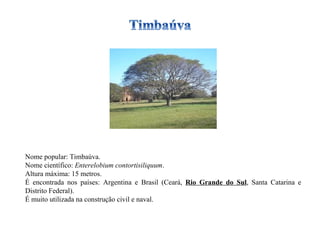 Nome popular: Timbaúva. Nome científico:  Enterelobium contortisiliquum . Altura máxima: 15 metros. É encontrada nos países: Argentina e Brasil (Ceará,  Rio Grande do Sul , Santa Catarina e Distrito Federal). É muito utilizada na construção civil e naval. 